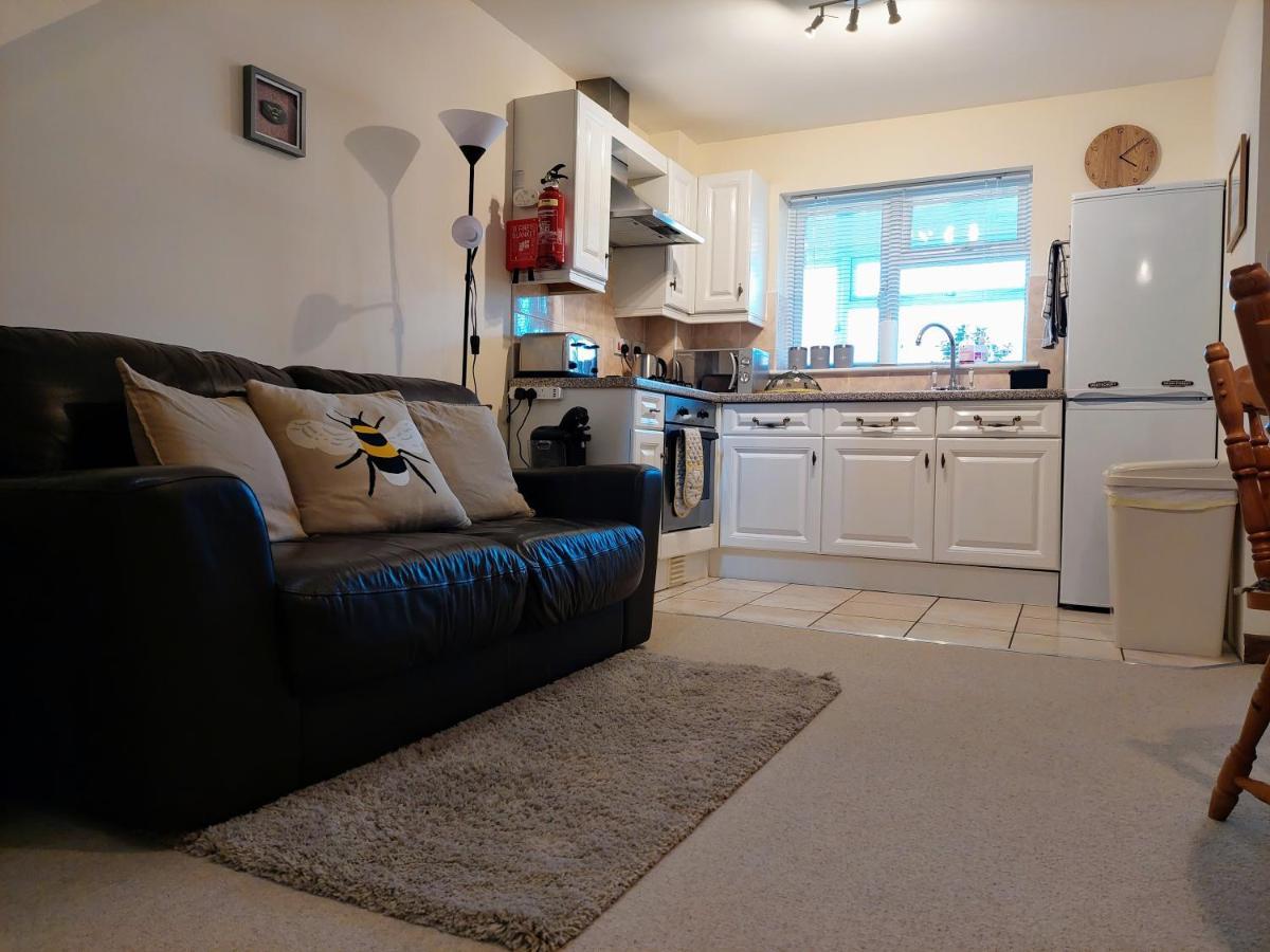 The Beehive - Self Catering In The Heart Of The Forest Of Dean Whitecroft 外观 照片