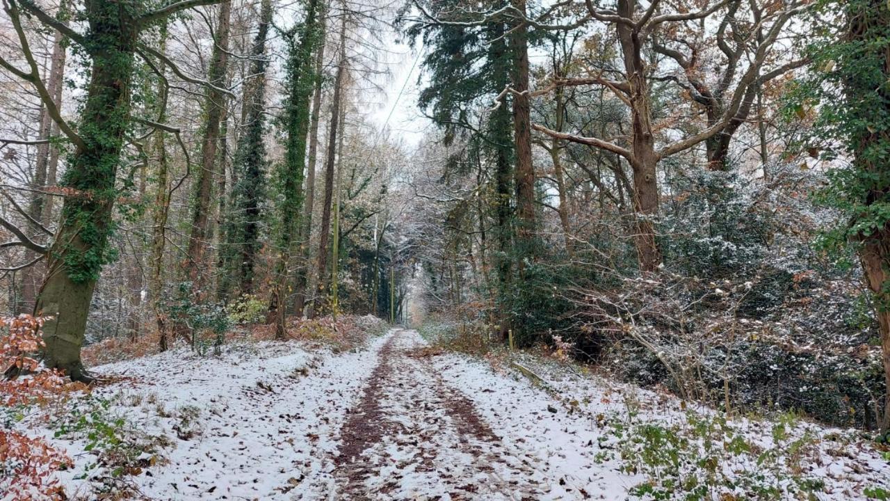 The Beehive - Self Catering In The Heart Of The Forest Of Dean Whitecroft 外观 照片